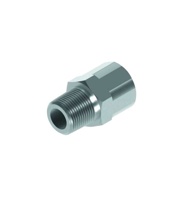 Adaptor GZ 1/8 NPT x GW 1/4 BSP stal 1.4571