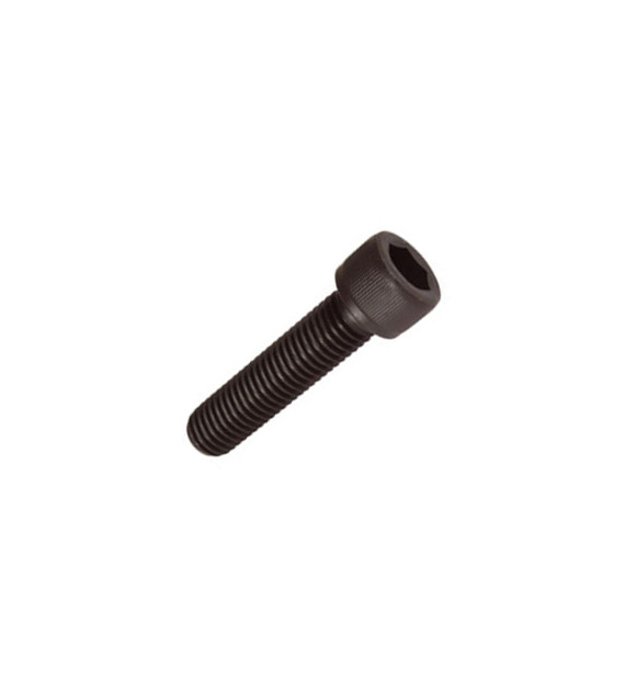 Śruba M20x2,5 L=65mm