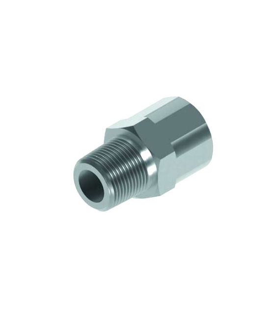 Adaptor GZ 1/4 BSPT x GW 1/4 BSP