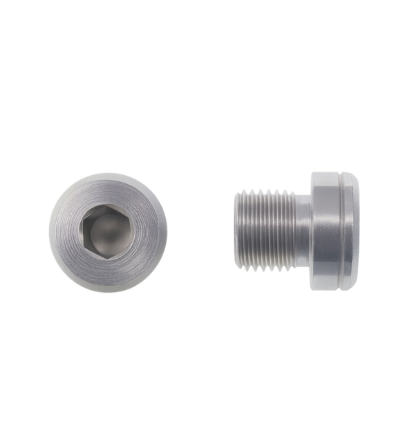 Korek GZ M10x1, L=8, stal 316