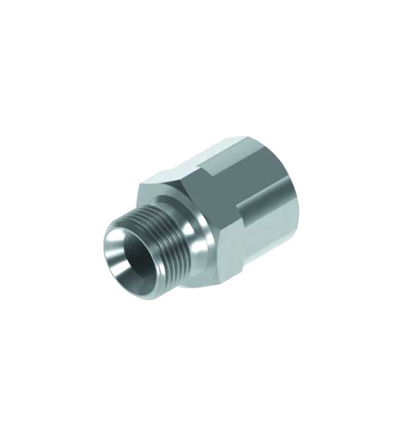 Adaptor GZ 1/2 BSP x GW 1/2 NPT