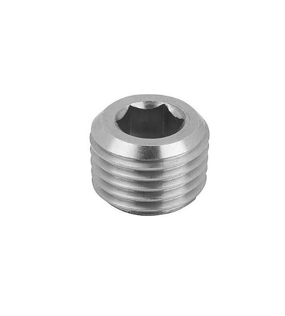 Korek imbusowy, stal 316L, 1/8 NPT, DIN 906